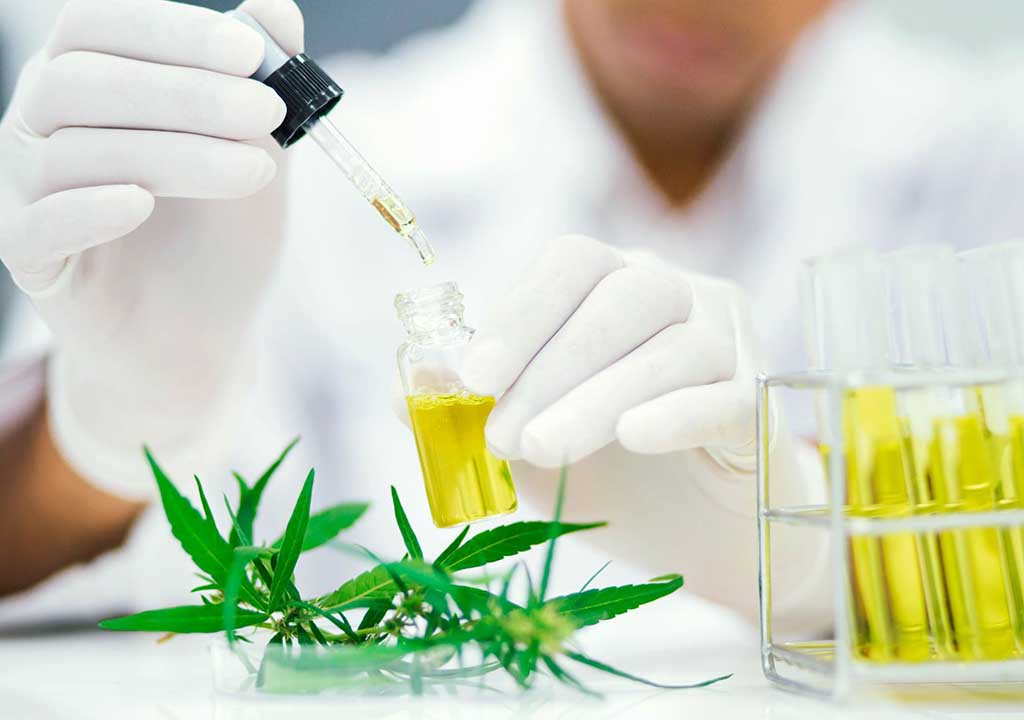 hemp oil processing lab